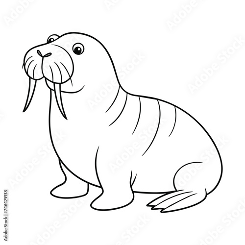 Vector of walrus illustration coloring page for kids