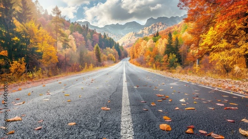 Forest road in autumn. Asphalt mountain road passing through colorful autumn leaves.