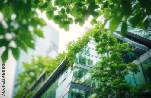 Modern office building with green leaves