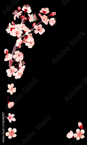 Watercolor hand drawn pink sakura flower vertical frame on black background