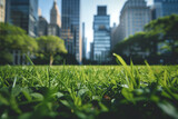 Closeup of a luscious grass in a park with skyscrapers in the background. Eco-awareness.