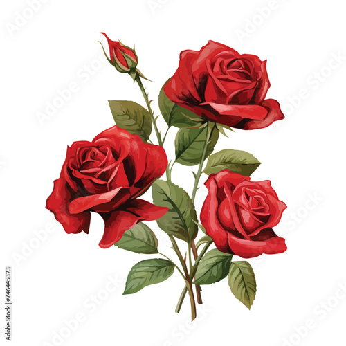 Red Rose Stems Clipart  isolated on white background