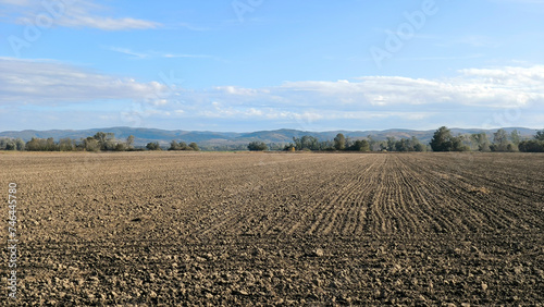 arable land in bright autumn day in Vojvodina