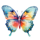 watercolor Butterfly Clipart  isolated on white background
