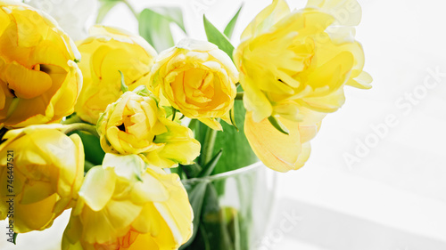 Mothers day  Greeting card. Congratulations concept  March 8. Sunlit Yellow Tulips in Vase. Close-up of vibrant yellow tulips bathed in soft natural light  emanating freshness and spring vibes.