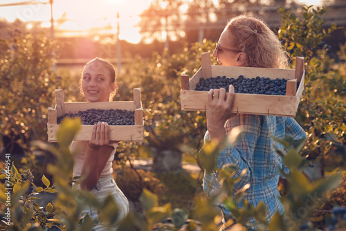 Mother and daughter picking blueberries on a family organic farm photo
