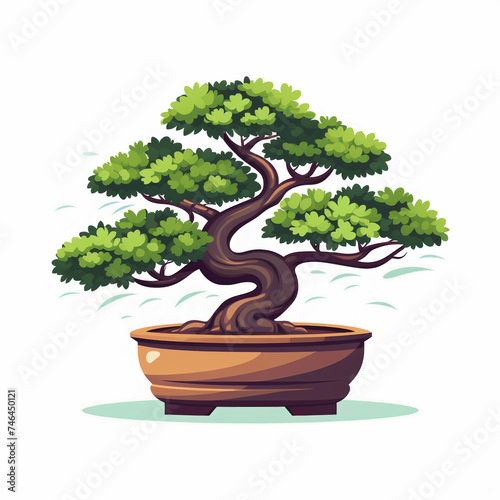 Drawing illustration japan bonsai in pot