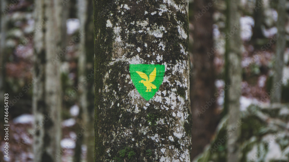 Fototapeta premium Sign on the trunk of a tree in the forest