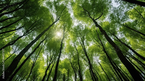 Looking up at the green tops of trees Generative AI