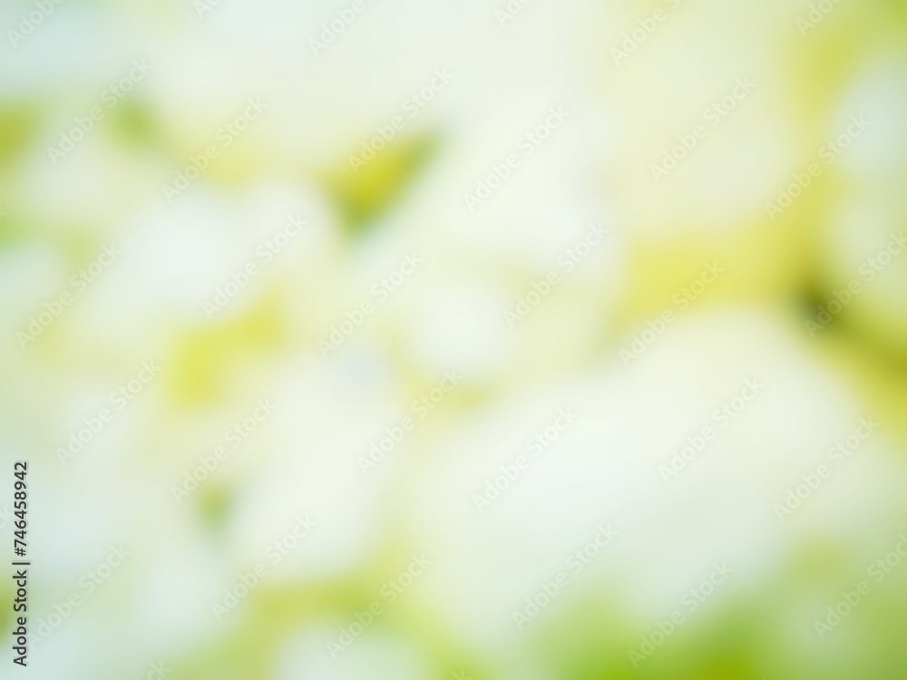 green background green background