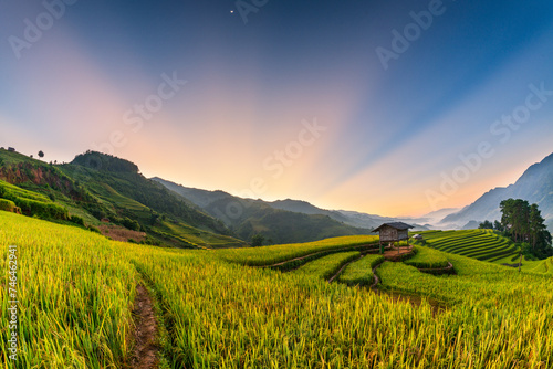 Rice fields on terraced of Mu Cang Chai, YenBai, Vietnam. © VietDung