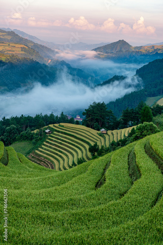 Rice fields on terraced of Mu Cang Chai, YenBai, Vietnam. © VietDung
