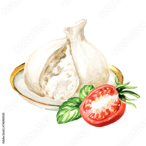 Burrata italian soft cheese with tomatoes and basil.  Hand drawn watercolor  illustration  isolated on white background © dariaustiugova