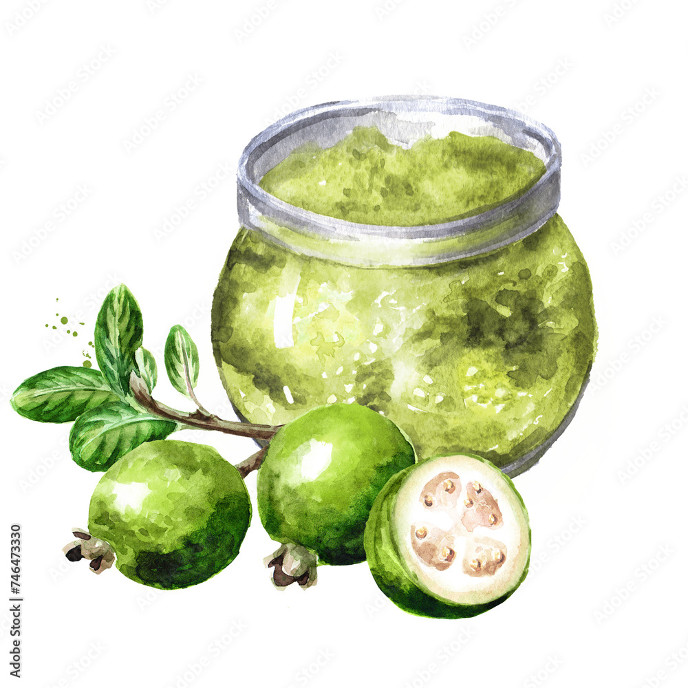 Delicious feijoa jam and fresh fruits. Watercolor hand drawn illustration, isolated on white background Delicious feijoa jam and fresh fruits. Watercolor hand drawn illustration, isolated on white background