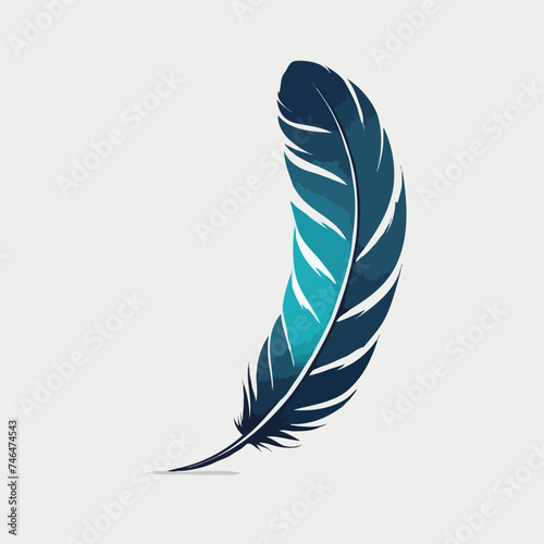 Colorful feather illustration
