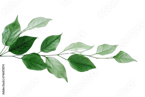 Green leaves suspended in mid-air, isolated on a transparent background. Nature's floating elegance.