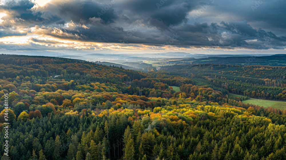 Forest of Thuringia in Germany.