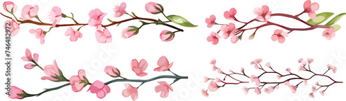 Horizontal branch of cherry blossoms collection set. Vector illustration pink Sakura flower on white background