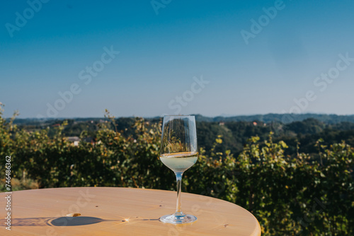 Wine glass with white wine and beautiful view of Haloze hills