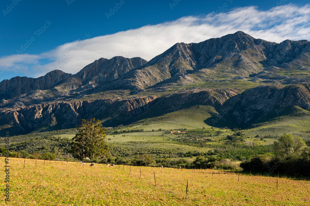 Farm in the Karoo with old rural houses and the swartberg mountains in south africa,