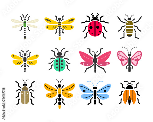 vector insect illustration © Zenyahya