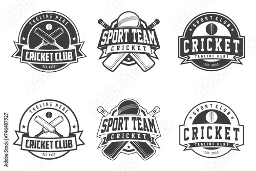 Cricket Logo Badge emblem  cricket team sport design  sticks and cricket ball vector monochrome style