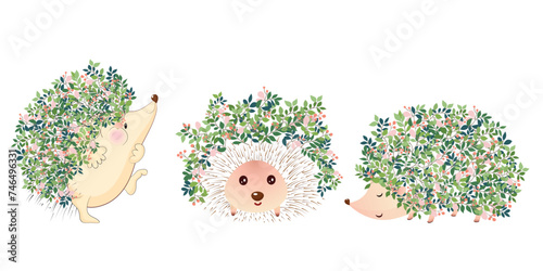 hedgehog tree spring green bloom