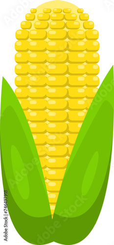 corn vector illustration