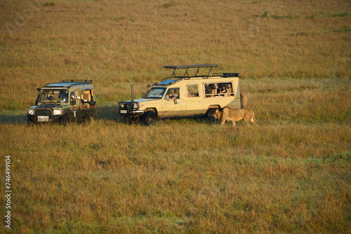 Safari Masai Mara