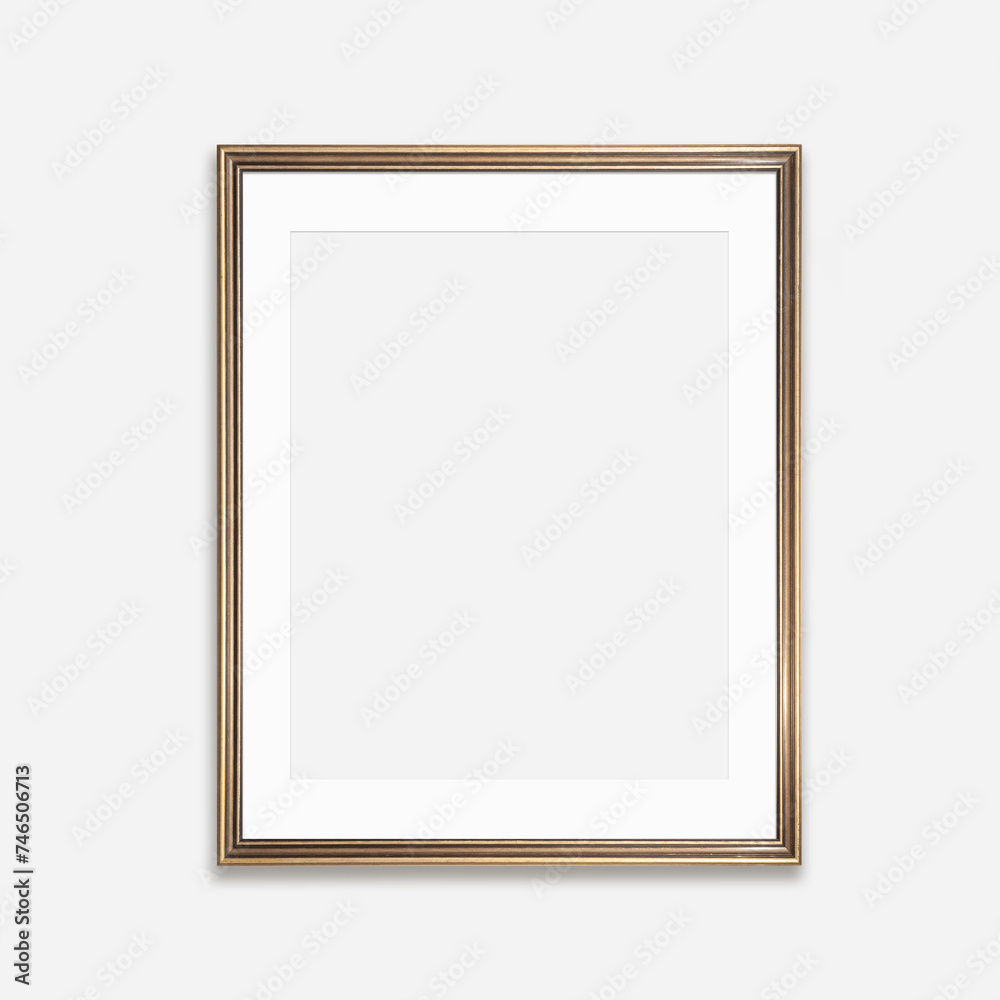 16x20 vertical blank vintage gilded frame