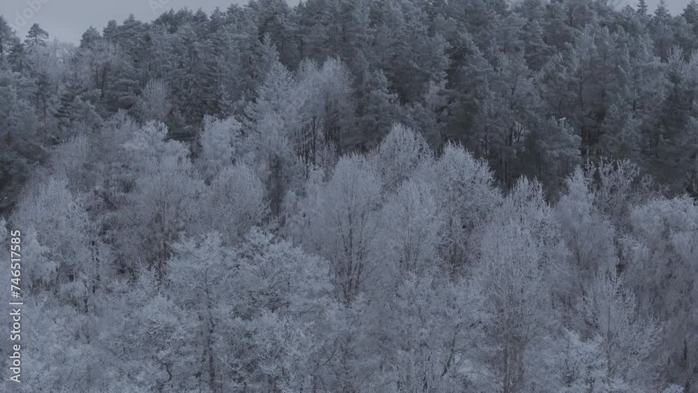 Winter forest covered in snow and ice captured with drone. Download in 4K for DLOG and Prores! Winter forest covered in snow and ice captured with drone. Download in 4K for DLOG and Prores!