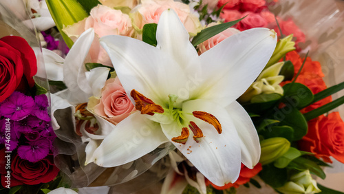 Large white flower among other colorful plants and flowers 