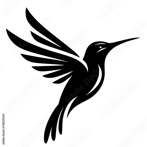 bird of paradise