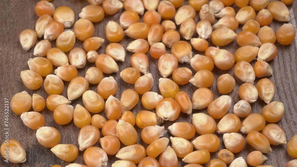 Raw Corn Seeds or Corn kernels are from Maize is a grain, and the kernels are used in cooking as a vegetable or a source of starch. Raw Corn Seeds or Corn kernels are from Maize is a grain, and the kernels are used in cooking as a vegetable or a source of starch.