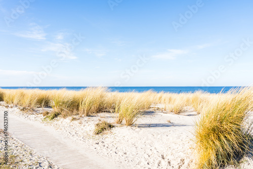 Fototapeta Naklejka Na Ścianę i Meble -  Coastal dunes at the baltic sea in Lubmin on a sunny day with wooden walkway in the foreground