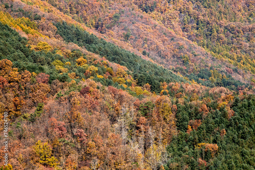 View of the autumn mountain