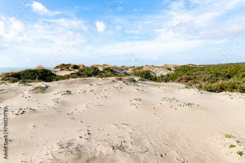 image of sand dunes and Mediterranean vegetation