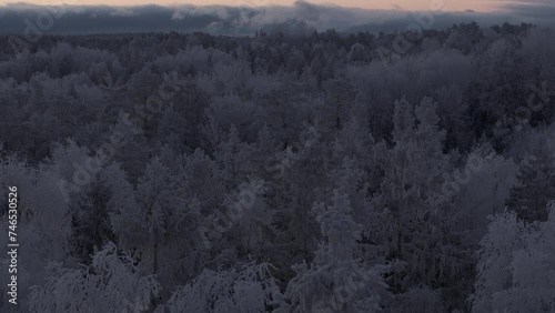 Sunrise over a frozen forest covered by snow and ice captured with drone. Original file quality, 4K, DLOG, ProRes HQ.