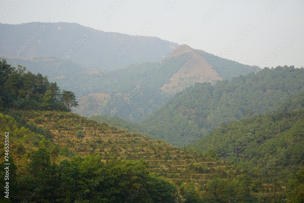 Fototapeta premium Tropical mountain landscape
