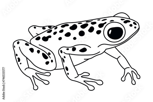 Alert Spotted Frog Looking Forward