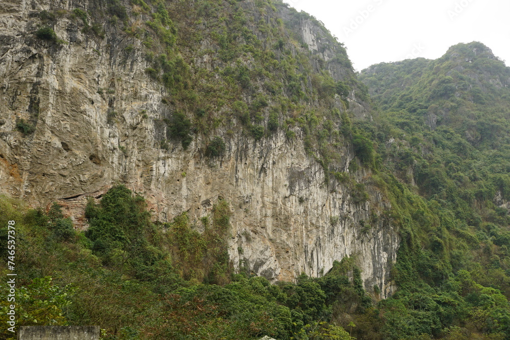 Tropical mountain landscape