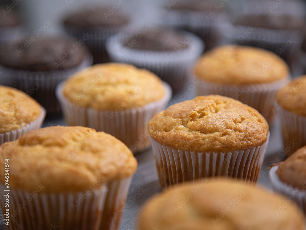 cupcake production inside the bakery cupcake production inside the bakery