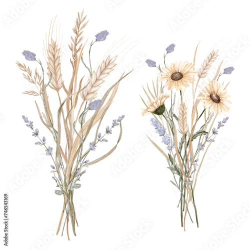 Bouquets of wild flowers and spikelets