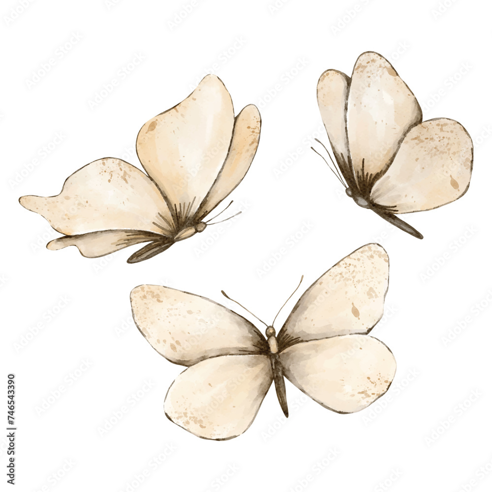 Set of beige field butterflies