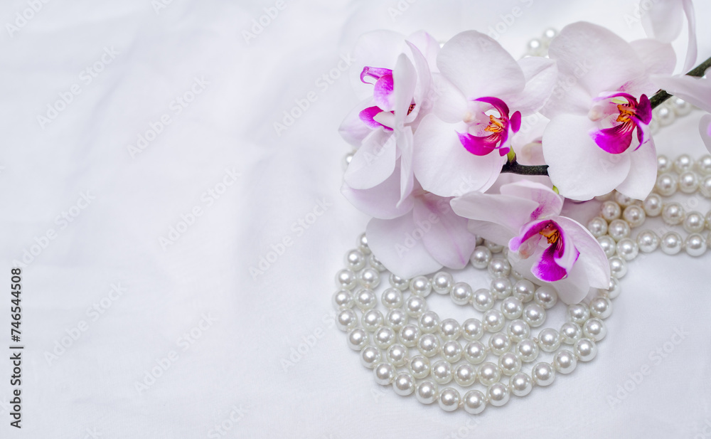 The branch of purple orchids on white fabric background
The branch of purple orchids on white fabric background