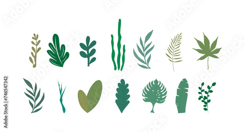 Sheet. Leaves. Leaf vector icon. Leaf vector collection. Green tropical leaf or leaves of various shapes and colors on a white background
