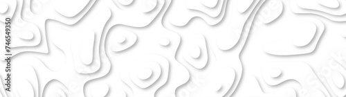 3d render, abstract white paper background. Paper cut vector art background banner texture. multi layer cutout geometric pattern on vector, Abstract soft white background with waves.