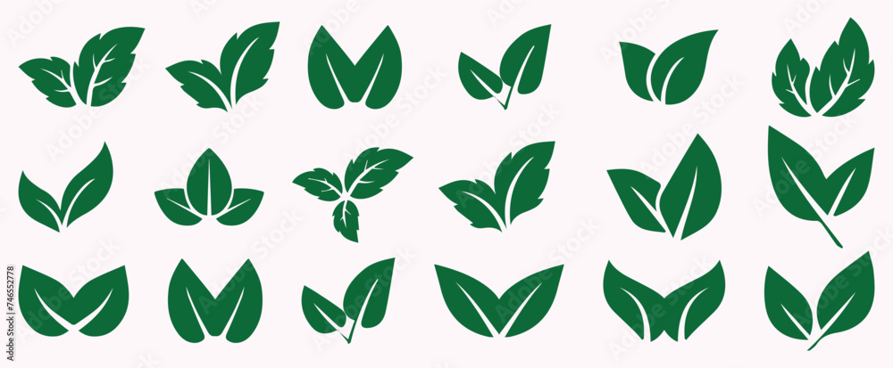 Vector green leaf icons set leaves icon on isolated background ...