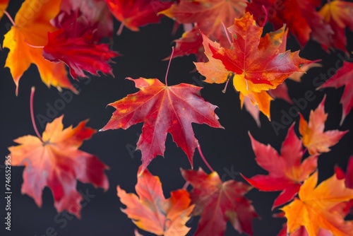 Mesmerizing aerial display: Maple leaves suspended gracefully in mid-air.