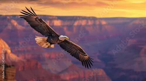 A majestic eagle soars at dawn  its silhouette defined against a vibrant sunrise over a canyon  symbolizing freedom and the wild